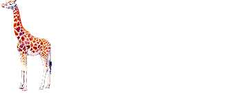 Giraffe — Элитное экскорт-агентство в Екатеринбурге